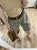 IMG_3738.jpeg