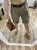 IMG_3740.jpeg