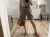 IMG_3758.jpeg